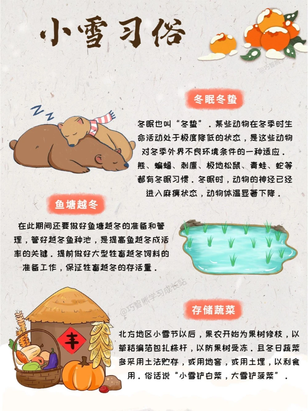 传统文化二十四节气之小雪，知识科普_中小学精品资料(高清可打印)_古文化大全集628份高清资料整理版