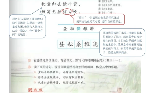 五年级下册语文部编版课堂笔记（飞翔版）_小学初中学霸笔记类资料汇总6.33GB_小学同步课堂笔记2.76GB_1~6年级全册语文部编版课堂笔记