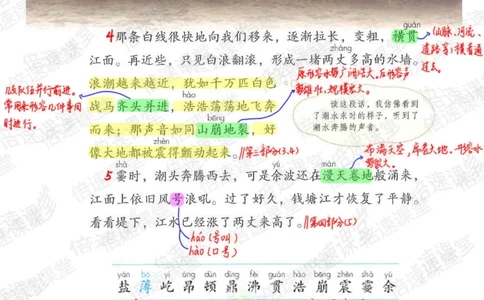四年级上册语文部编版课堂笔记（倍速版）_小学初中学霸笔记类资料汇总6.33GB_小学同步课堂笔记2.76GB_1~6年级全册语文部编版课堂笔记