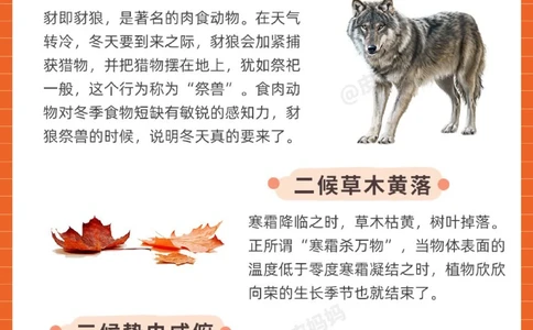 传统节气科普和孩子一起了解霜降小常识_中小学精品资料(高清可打印)_古文化大全集628份高清资料整理版