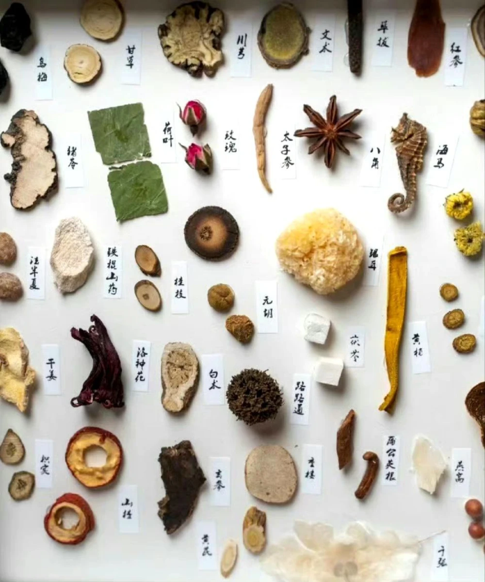 传说中的草药长啥样啊？中药材图文识别_中小学精品资料(高清可打印)_古文化大全集628份高清资料整理版