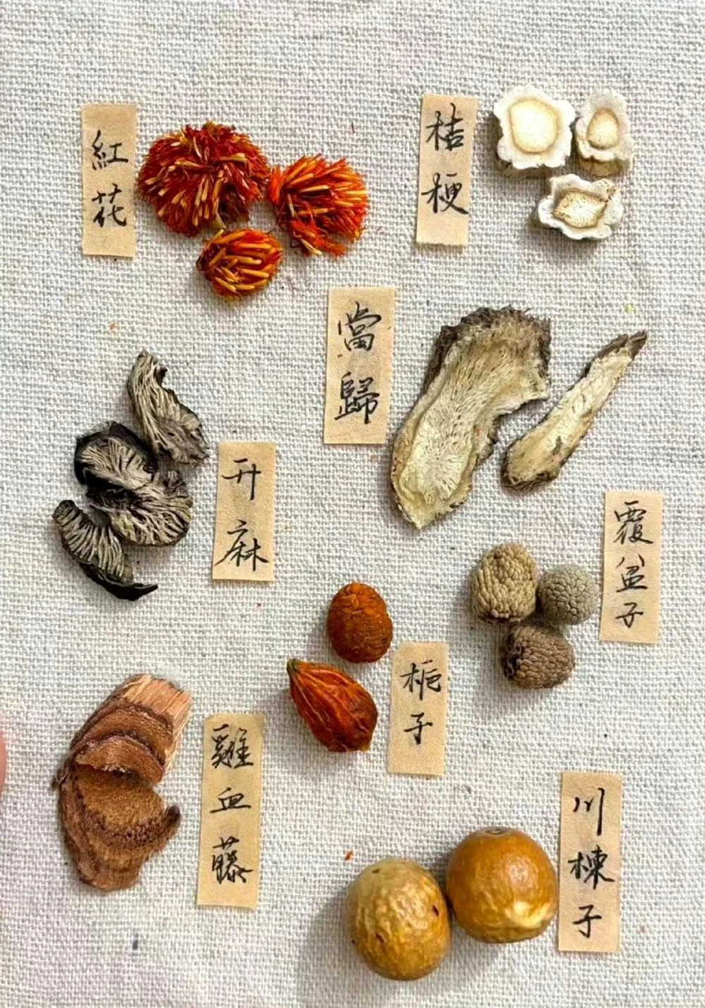 传说中的草药长啥样啊？中药材图文识别_中小学精品资料(高清可打印)_古文化大全集628份高清资料整理版