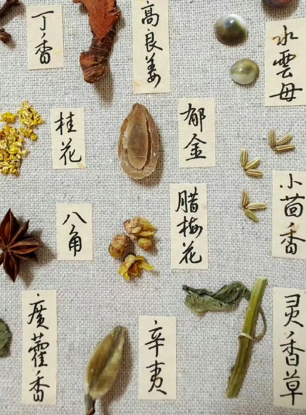 传说中的草药长啥样啊？中药材图文识别_中小学精品资料(高清可打印)_古文化大全集628份高清资料整理版