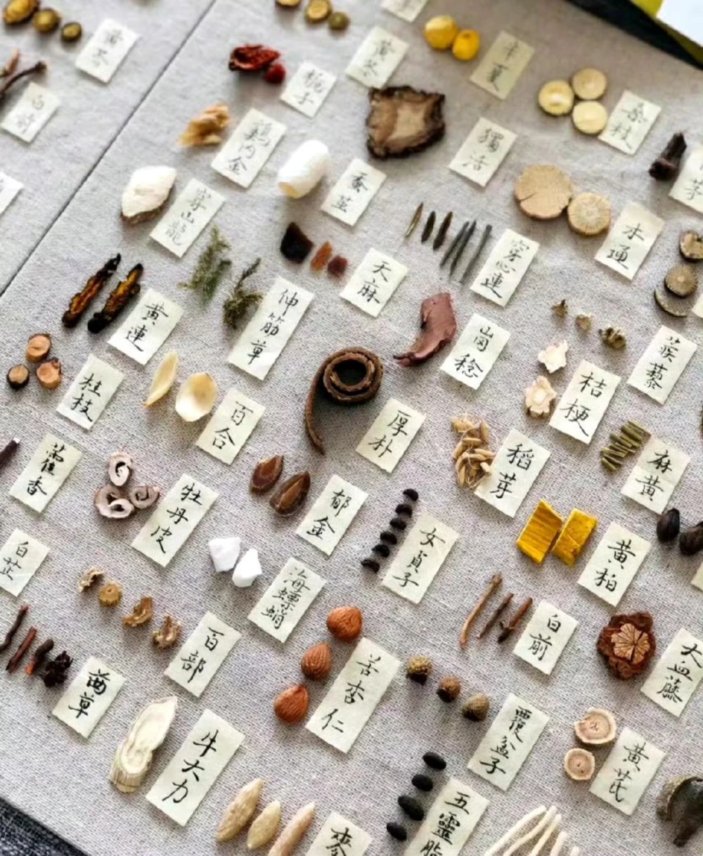 传说中的草药长啥样啊？中药材图文识别_中小学精品资料(高清可打印)_古文化大全集628份高清资料整理版