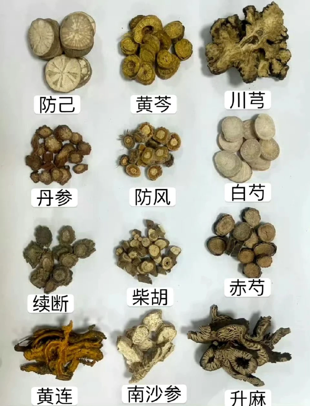 传说中的草药长啥样啊？中药材图文识别_中小学精品资料(高清可打印)_古文化大全集628份高清资料整理版