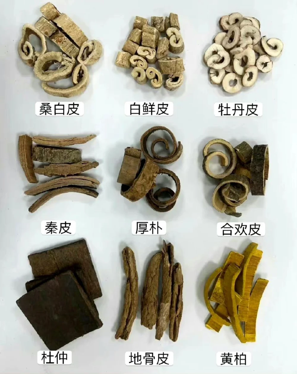 传说中的草药长啥样啊？中药材图文识别_中小学精品资料(高清可打印)_古文化大全集628份高清资料整理版