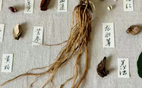 传说中的草药长啥样啊？中药材图文识别_中小学精品资料(高清可打印)_古文化大全集628份高清资料整理版