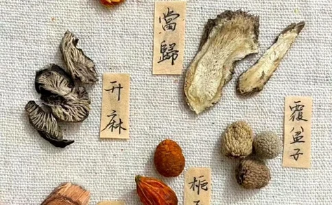 传说中的草药长啥样啊？中药材图文识别_中小学精品资料(高清可打印)_古文化大全集628份高清资料整理版