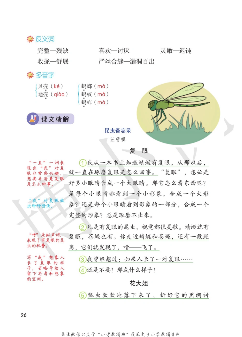 三年级下册语文部编版课堂笔记（博小优）_小学初中学霸笔记类资料汇总6.33GB_小学同步课堂笔记2.76GB_1~6年级全册语文部编版课堂笔记