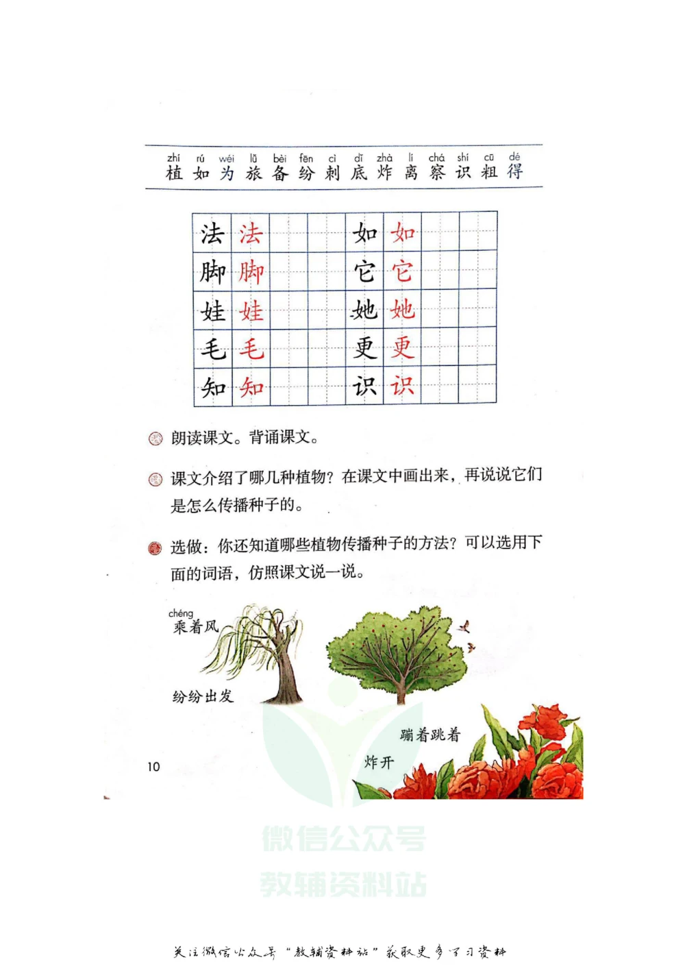 二年级上册语文部编版课堂笔记（飞翔版）_小学初中学霸笔记类资料汇总6.33GB_小学同步课堂笔记2.76GB_1~6年级全册语文部编版课堂笔记