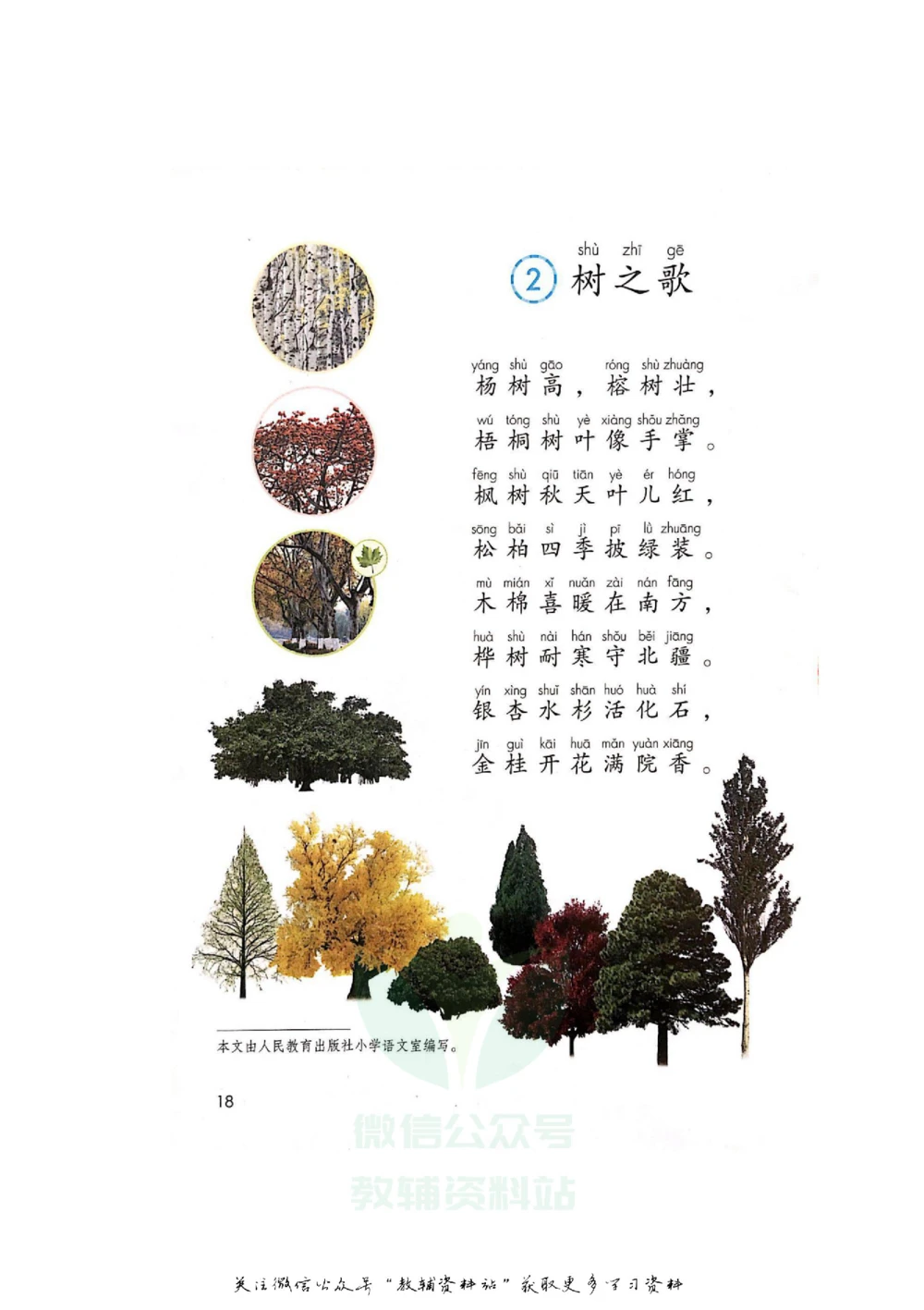 二年级上册语文部编版课堂笔记（飞翔版）_小学初中学霸笔记类资料汇总6.33GB_小学同步课堂笔记2.76GB_1~6年级全册语文部编版课堂笔记