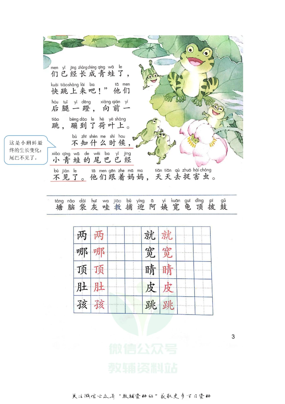 二年级上册语文部编版课堂笔记（飞翔版）_小学初中学霸笔记类资料汇总6.33GB_小学同步课堂笔记2.76GB_1~6年级全册语文部编版课堂笔记