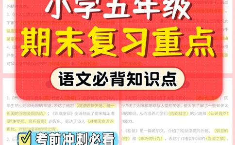 干货-五年级期末冲刺必背知识点_2025抖音最火小学全科全年级资料大全集超完整版_小学数学VIP资源禁止外传