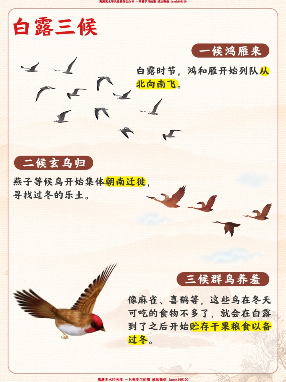 白露-秋天来了，给孩子讲讲白露小知识_2025抖音最火小学全科全年级资料大全集超完整版_小学常识VIP资源禁止外传