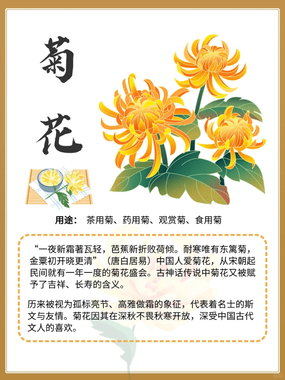 中国四大名花，你知道谁是&ldquo;花中之王&rdquo;吗_中小学精品资料(高清可打印)_百科知识大全集312份高清资料整理版