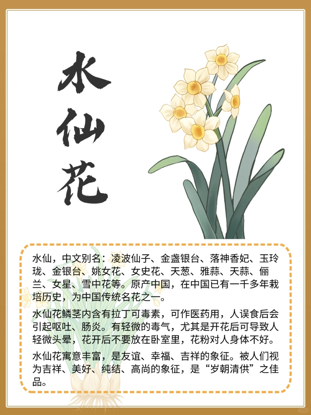 中国四大名花，你知道谁是&ldquo;花中之王&rdquo;吗_中小学精品资料(高清可打印)_百科知识大全集312份高清资料整理版
