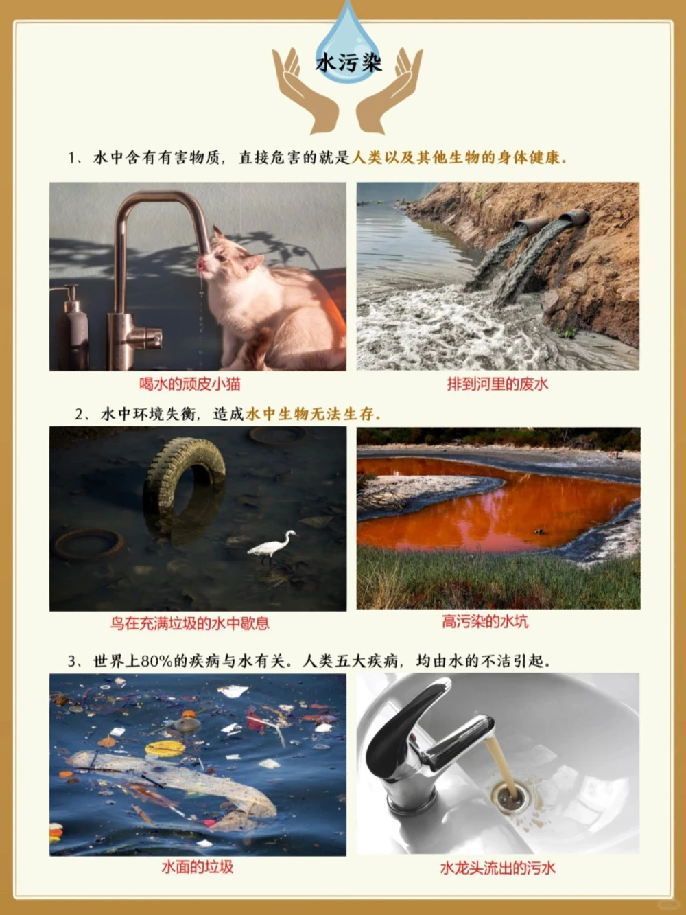 今天你吃塑料了吗️生活中的污染与环保_中小学精品资料(高清可打印)_百科知识大全集312份高清资料整理版