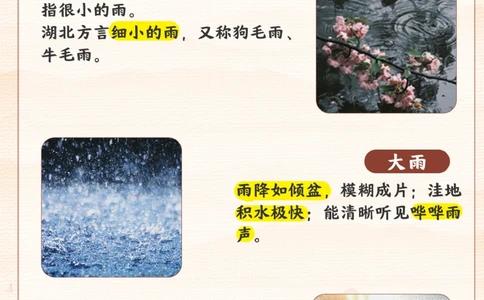 日常雨的名称_2025抖音最火小学全科全年级资料大全集超完整版_小学常识VIP资源禁止外传
