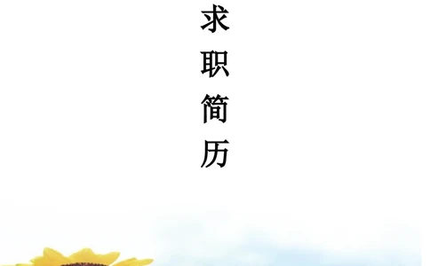 092.天空葵花_表格式_适用于应届生_1页式_无内容_有封面_26考研复试_考研复试资料合集26_考研经典面试系列（复试技巧调剂指导口语指导自我介绍导师模板）_简历模板大全