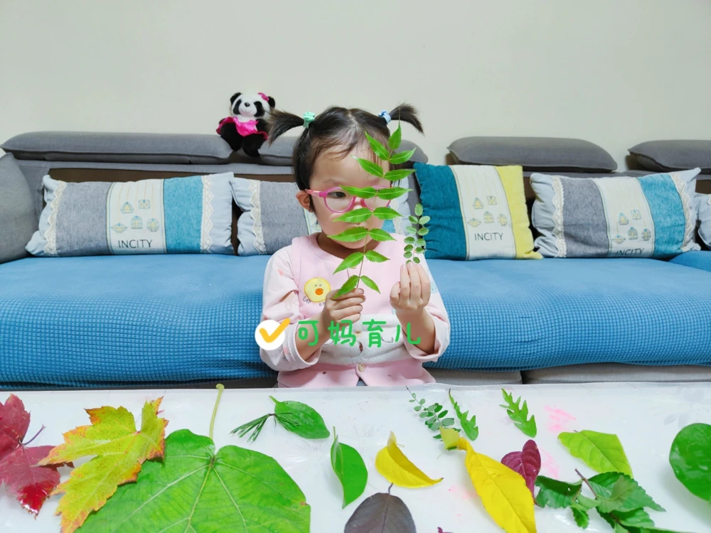 带孩子认识树叶，直接被震住了_中小学精品资料(高清可打印)_常识知识大全集140份高清资料整理版