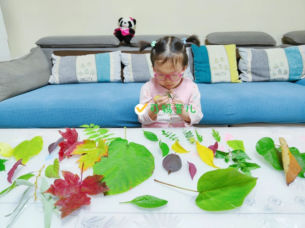 带孩子认识树叶，直接被震住了_中小学精品资料(高清可打印)_常识知识大全集140份高清资料整理版