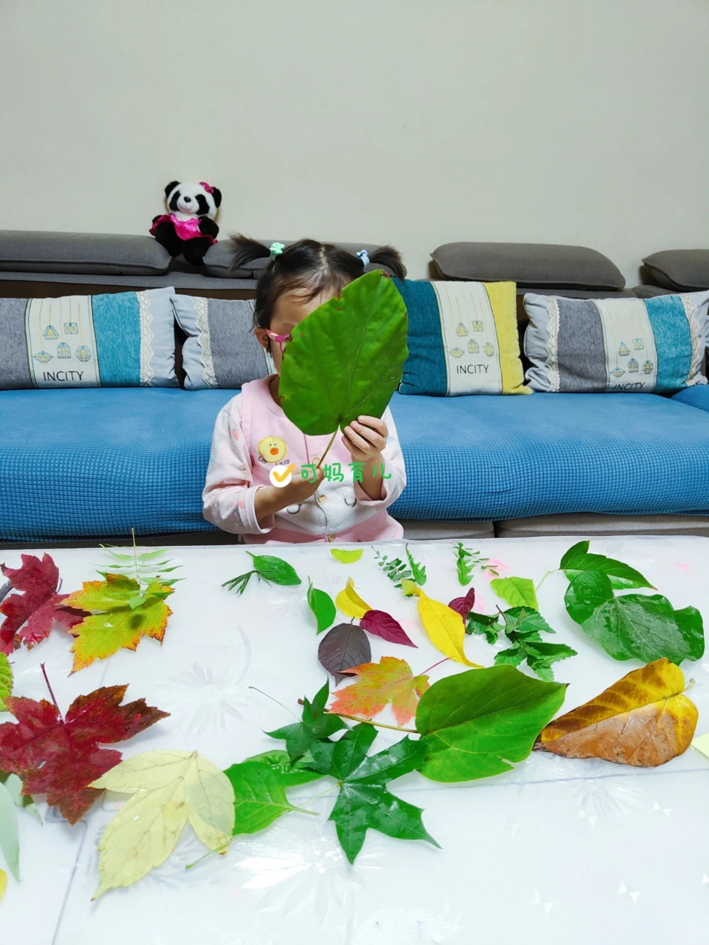 带孩子认识树叶，直接被震住了_中小学精品资料(高清可打印)_常识知识大全集140份高清资料整理版
