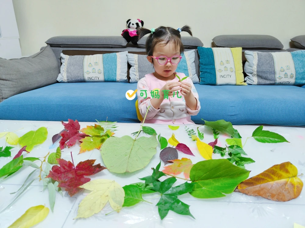 带孩子认识树叶，直接被震住了_中小学精品资料(高清可打印)_常识知识大全集140份高清资料整理版