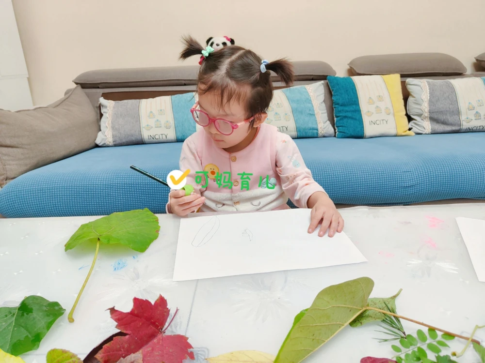 带孩子认识树叶，直接被震住了_中小学精品资料(高清可打印)_常识知识大全集140份高清资料整理版