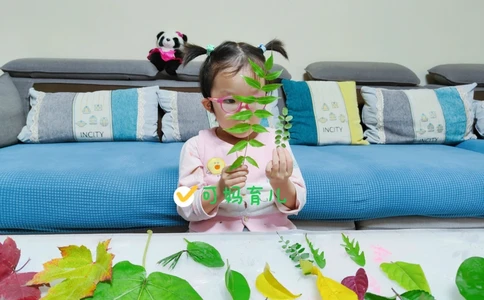 带孩子认识树叶，直接被震住了_中小学精品资料(高清可打印)_常识知识大全集140份高清资料整理版