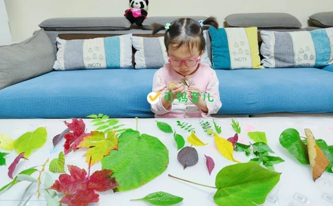 带孩子认识树叶，直接被震住了_中小学精品资料(高清可打印)_常识知识大全集140份高清资料整理版