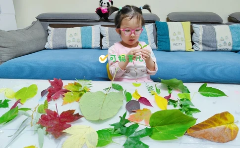 带孩子认识树叶，直接被震住了_中小学精品资料(高清可打印)_常识知识大全集140份高清资料整理版