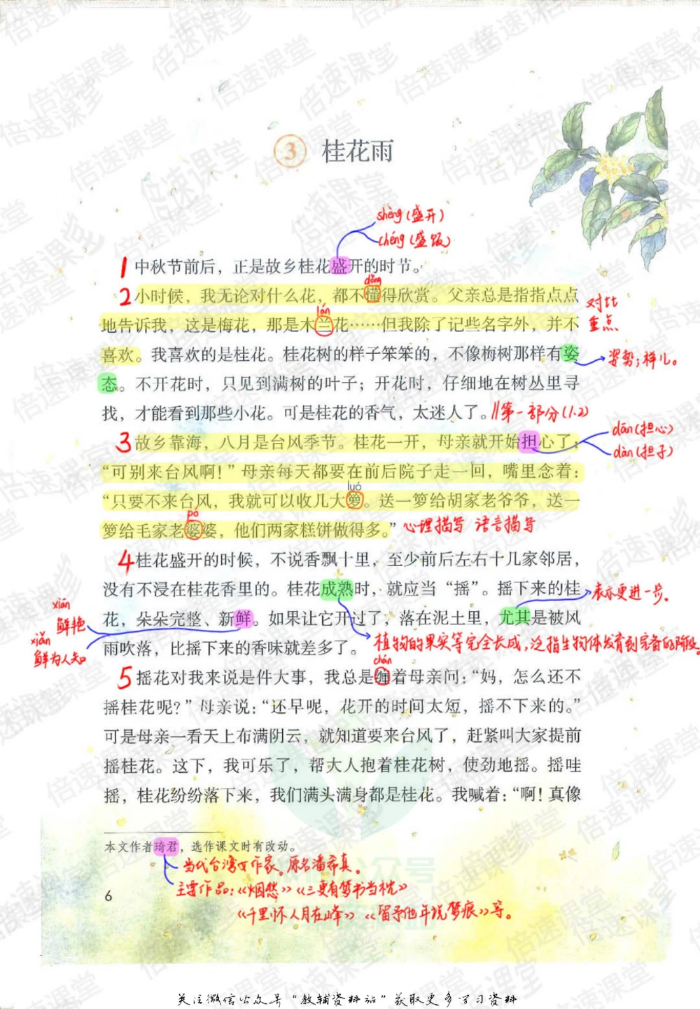五年级上册语文部编版课堂笔记（倍速版）_小学初中学霸笔记类资料汇总6.33GB_小学同步课堂笔记2.76GB_1~6年级全册语文部编版课堂笔记