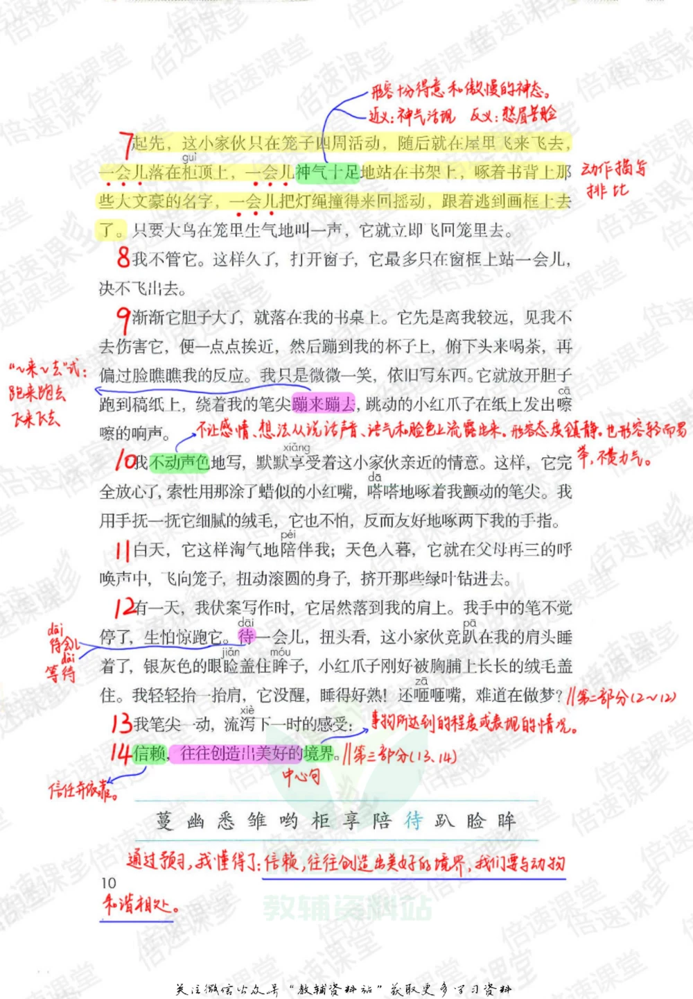 五年级上册语文部编版课堂笔记（倍速版）_小学初中学霸笔记类资料汇总6.33GB_小学同步课堂笔记2.76GB_1~6年级全册语文部编版课堂笔记