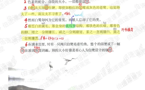 五年级上册语文部编版课堂笔记（倍速版）_小学初中学霸笔记类资料汇总6.33GB_小学同步课堂笔记2.76GB_1~6年级全册语文部编版课堂笔记