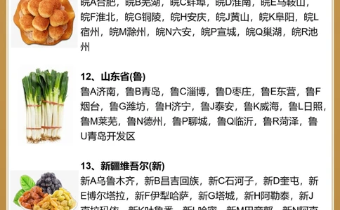 全国各省市车牌简称你知道哪些呢？_中小学精品资料(高清可打印)_常识知识大全集140份高清资料整理版