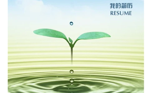 084.清新蓝天_表格式_适用于IT行业_1页式_无内容_有封面_26考研复试_10考研复试资料25_考研经典面试系列（复试技巧调剂指导口语指导自我介绍导师模板）_简历模板大全_77