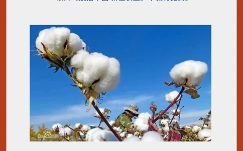 你不知道的人民币冷知识_中小学精品资料(高清可打印)_常识知识大全集140份高清资料整理版