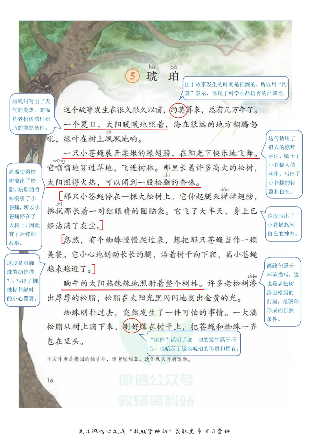 四年级下册语文部编版课堂笔记（飞翔版）_小学初中学霸笔记类资料汇总6.33GB_小学同步课堂笔记2.76GB_1~6年级全册语文部编版课堂笔记