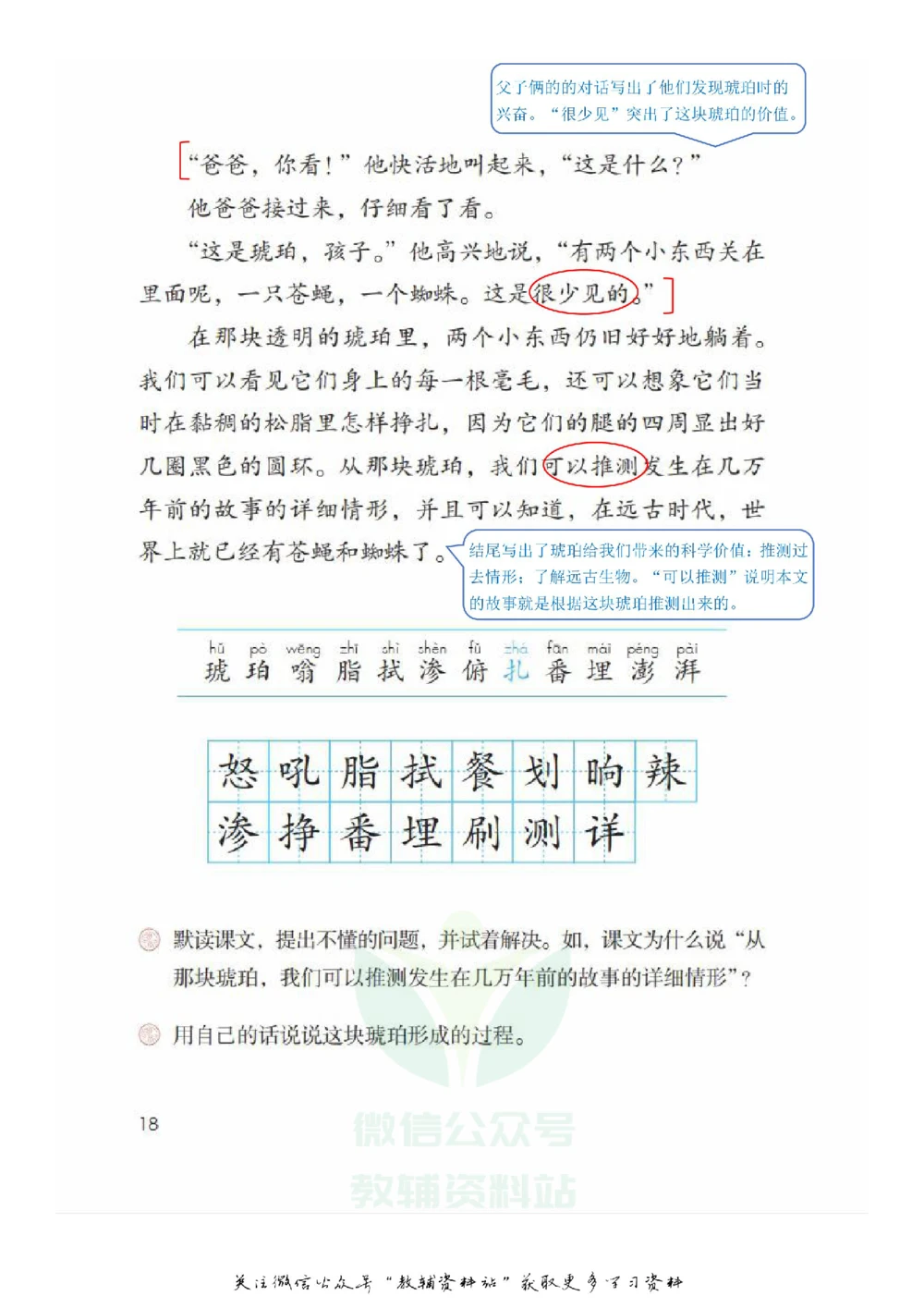 四年级下册语文部编版课堂笔记（飞翔版）_小学初中学霸笔记类资料汇总6.33GB_小学同步课堂笔记2.76GB_1~6年级全册语文部编版课堂笔记