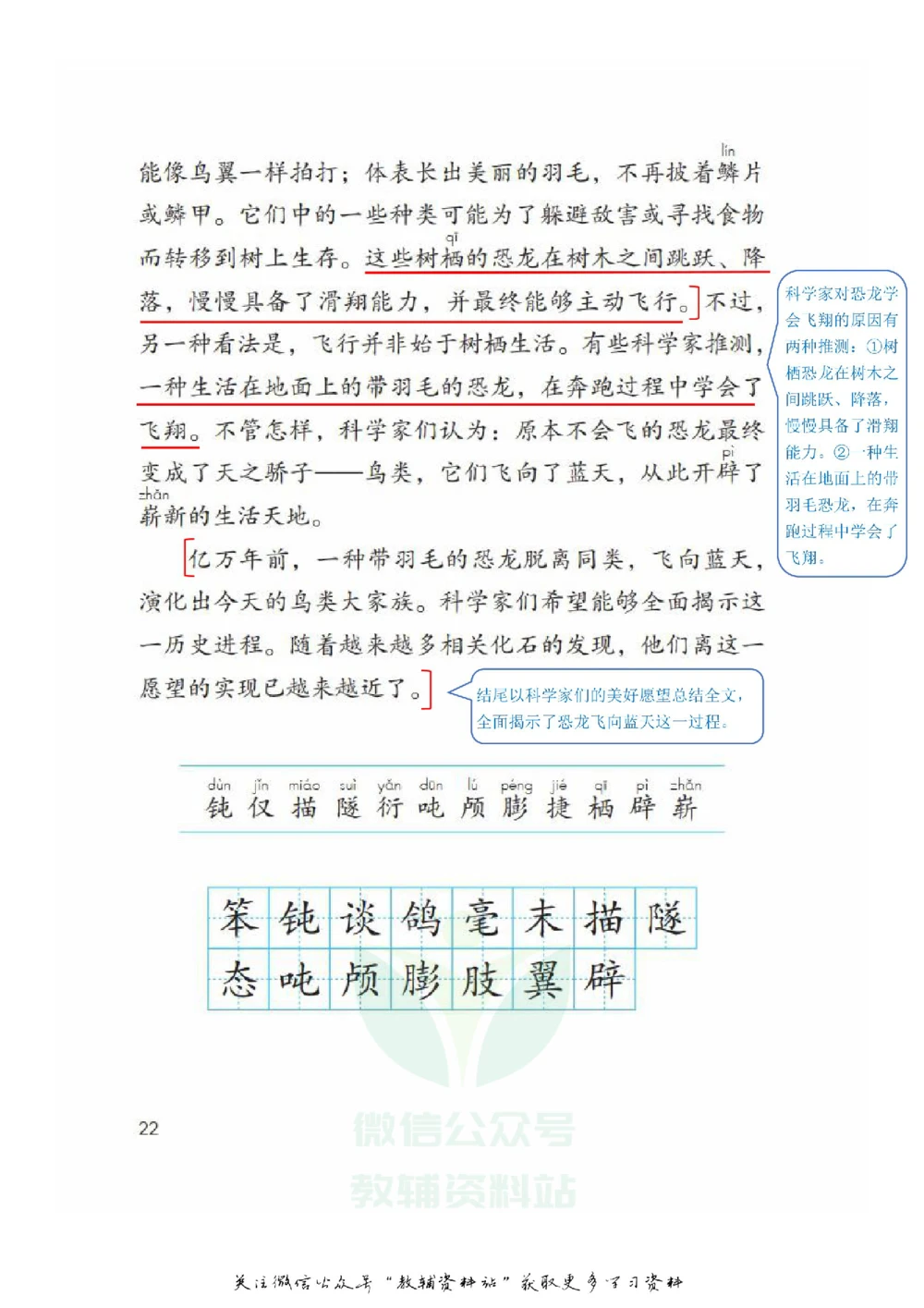 四年级下册语文部编版课堂笔记（飞翔版）_小学初中学霸笔记类资料汇总6.33GB_小学同步课堂笔记2.76GB_1~6年级全册语文部编版课堂笔记