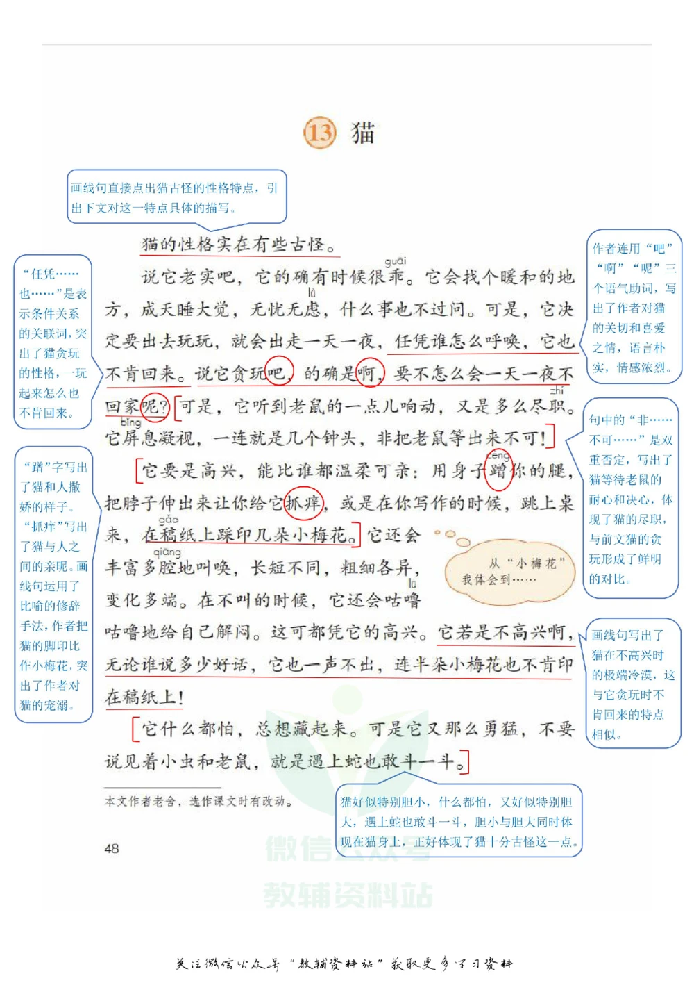 四年级下册语文部编版课堂笔记（飞翔版）_小学初中学霸笔记类资料汇总6.33GB_小学同步课堂笔记2.76GB_1~6年级全册语文部编版课堂笔记