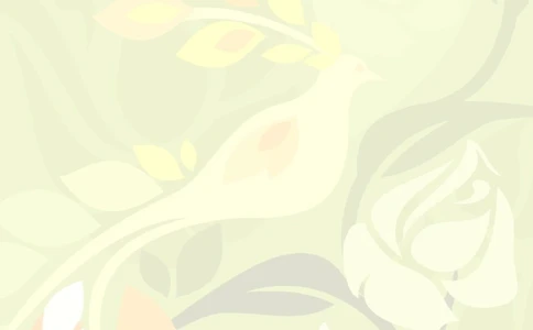 123.素雅黄绿_罗列式_适用于应届生_2页式_无内容_无封面_26考研复试_10考研复试资料25_考研经典面试系列（复试技巧调剂指导口语指导自我介绍导师模板）_简历模板大全_20