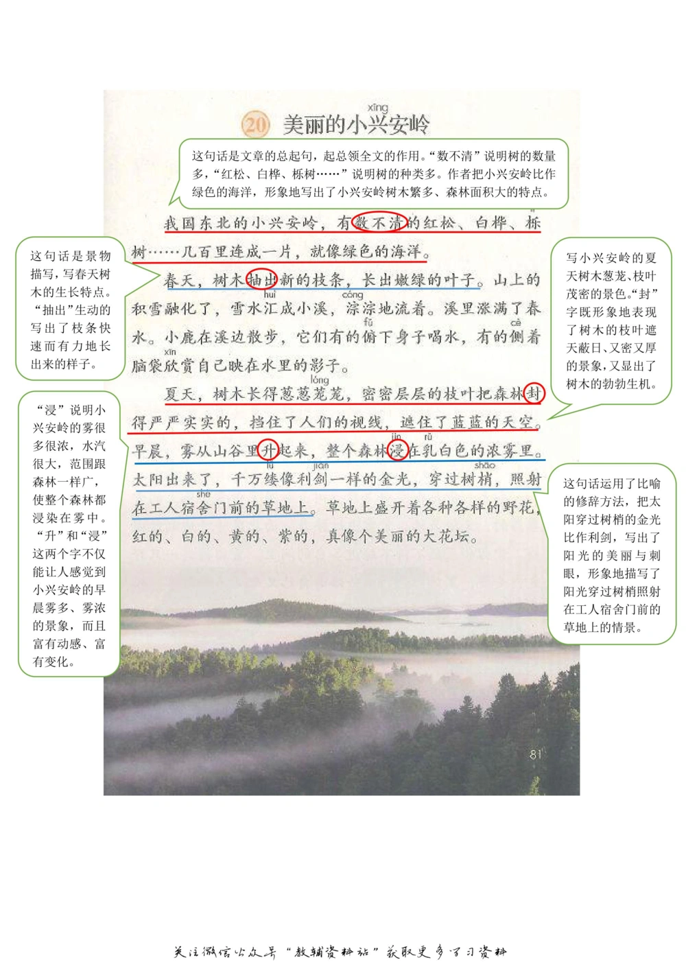 三年级上册语文部编版课堂笔记（飞翔版）_小学初中学霸笔记类资料汇总6.33GB_小学同步课堂笔记2.76GB_1~6年级全册语文部编版课堂笔记