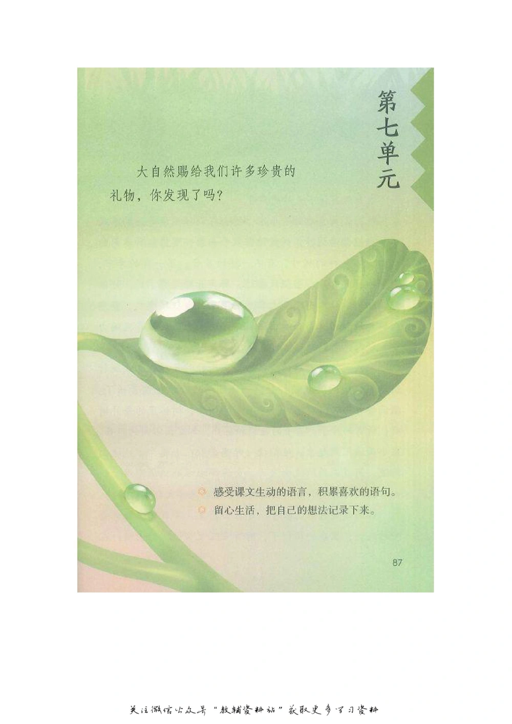 三年级上册语文部编版课堂笔记（飞翔版）_小学初中学霸笔记类资料汇总6.33GB_小学同步课堂笔记2.76GB_1~6年级全册语文部编版课堂笔记