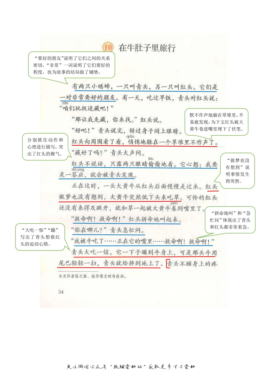 三年级上册语文部编版课堂笔记（飞翔版）_小学初中学霸笔记类资料汇总6.33GB_小学同步课堂笔记2.76GB_1~6年级全册语文部编版课堂笔记