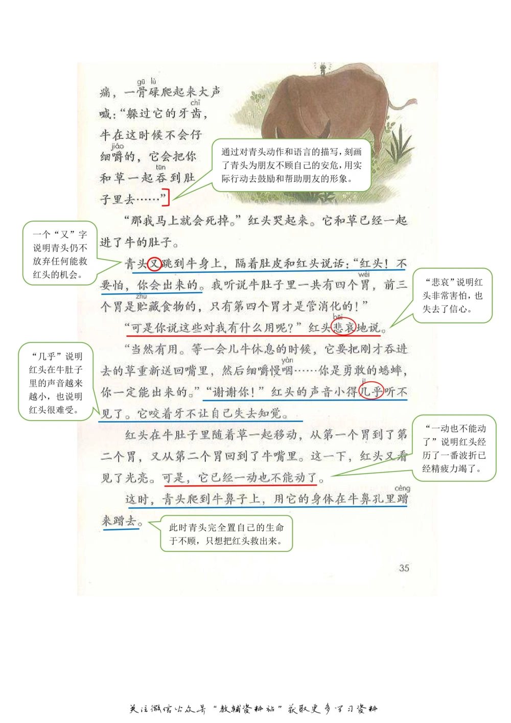 三年级上册语文部编版课堂笔记（飞翔版）_小学初中学霸笔记类资料汇总6.33GB_小学同步课堂笔记2.76GB_1~6年级全册语文部编版课堂笔记