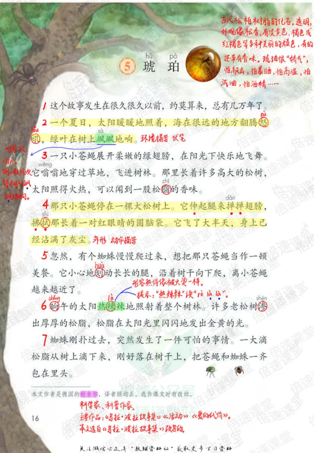 四年级下册语文部编版课堂笔记（倍速版）_小学初中学霸笔记类资料汇总6.33GB_小学同步课堂笔记2.76GB_1~6年级全册语文部编版课堂笔记