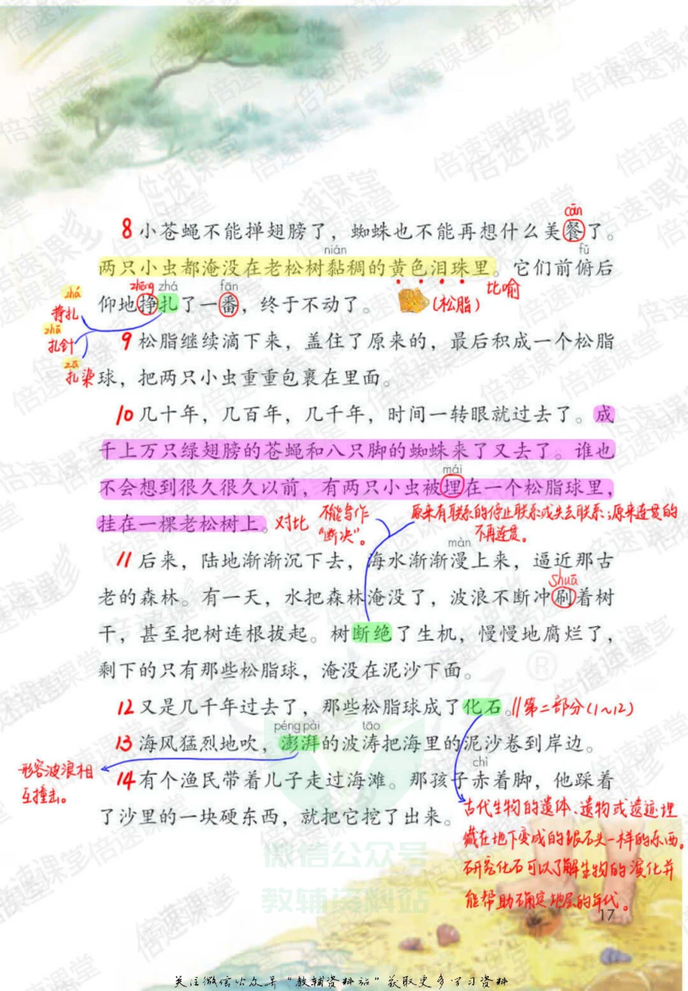 四年级下册语文部编版课堂笔记（倍速版）_小学初中学霸笔记类资料汇总6.33GB_小学同步课堂笔记2.76GB_1~6年级全册语文部编版课堂笔记