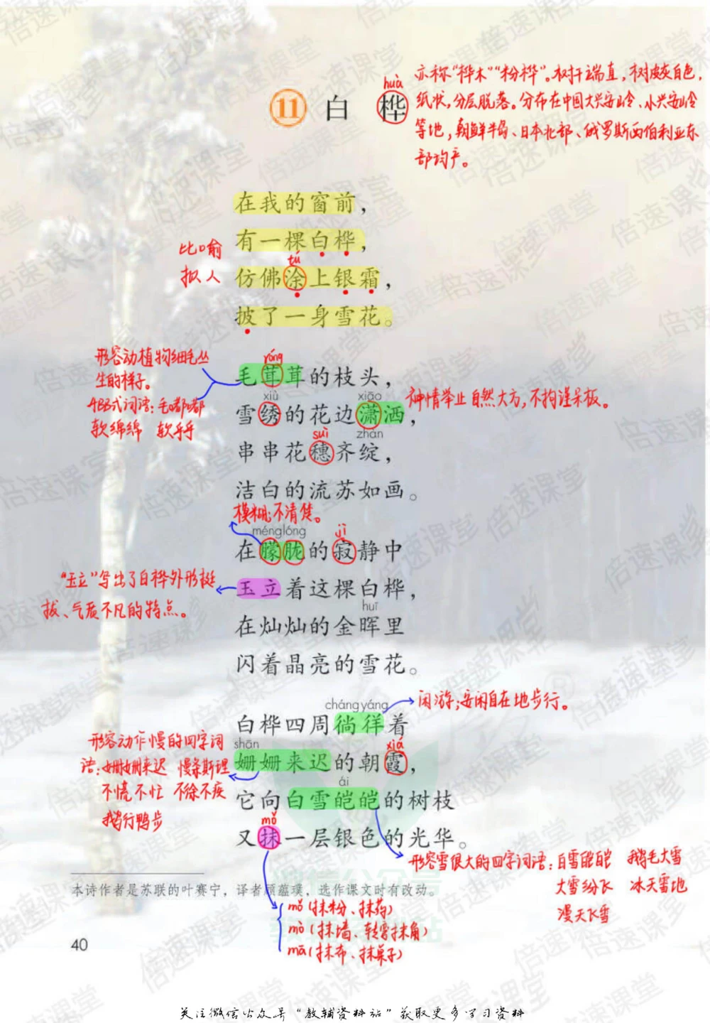 四年级下册语文部编版课堂笔记（倍速版）_小学初中学霸笔记类资料汇总6.33GB_小学同步课堂笔记2.76GB_1~6年级全册语文部编版课堂笔记