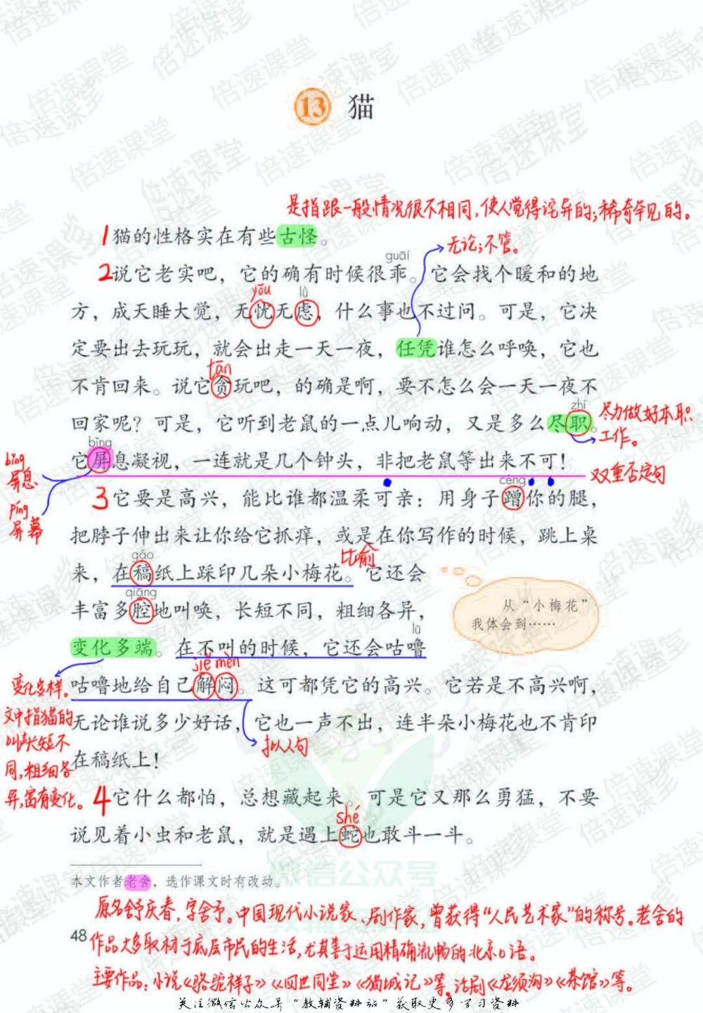 四年级下册语文部编版课堂笔记（倍速版）_小学初中学霸笔记类资料汇总6.33GB_小学同步课堂笔记2.76GB_1~6年级全册语文部编版课堂笔记